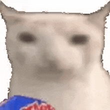 Random Image