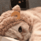 Random Image